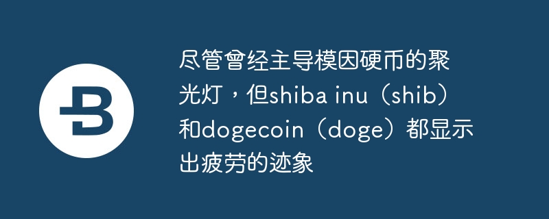 尽管曾经主导模因硬币的聚光灯，但shiba inu（shib）和dogecoin（doge）都显示出疲劳的迹象