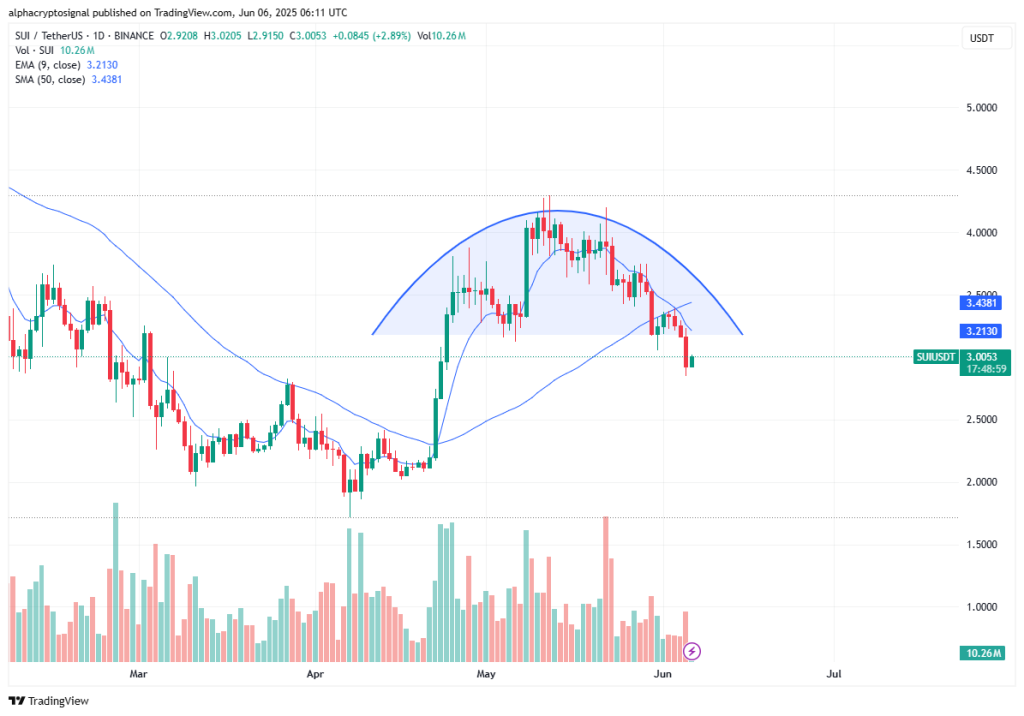 分析师警告：不要立即购买SUI  - 这就是为什么