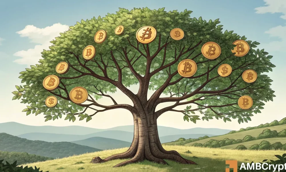 比特币[BTC]的交易仅比其历史最高高3％