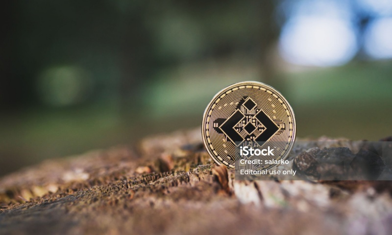 DOM币的合约地址是多少？探讨DOM币的技术背景与链上数据