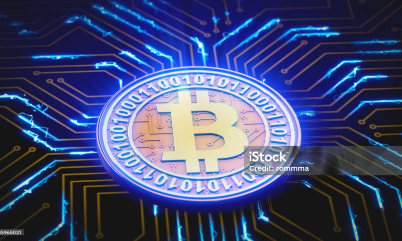 FISU币的总量是多少？FISU币的供应量与市场展望