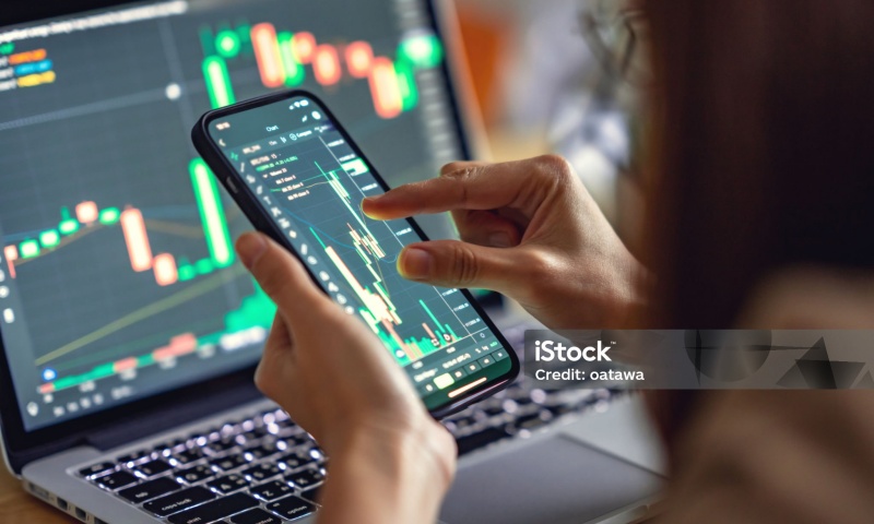 CINU币是什么？CINU币的基本功能与市场应用