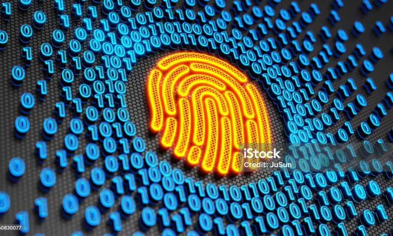 DODO币是什么？深入分析DODO币的市场前景与投资价值