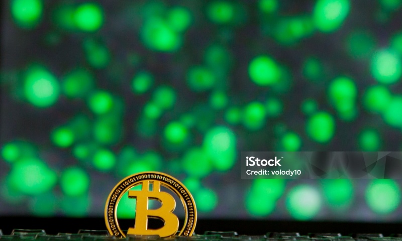 KISHIMOTO币的总发行量是多少?KISHIMOTO币的市场供应分析