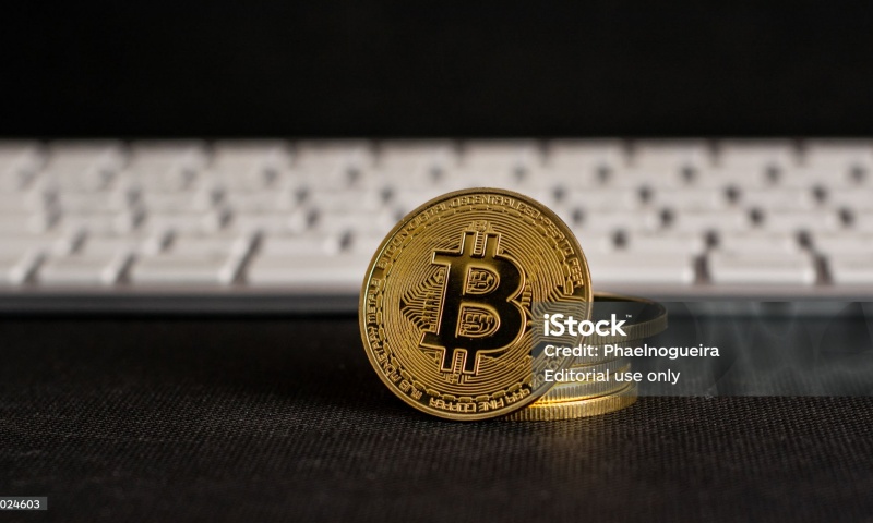 FREE币的发行历史与市场表现分析