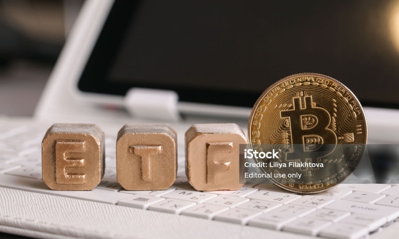 KISHIMOTO币的未来发展如何？KISHIMOTO币的前景与潜力